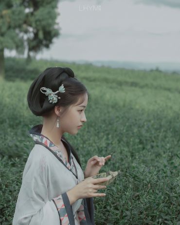 汲来江水烹新茗 买尽青山当画屏