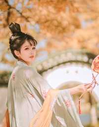 秋风辞 大橘猫