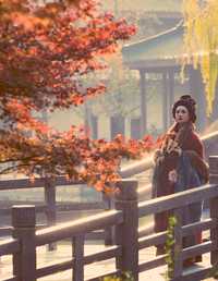 故园丹枫 xxSilver