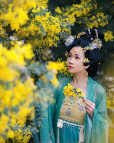 金合欢花古风人像