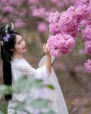 紫花春意
