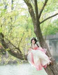 洁白绣球 湫一只岁岁