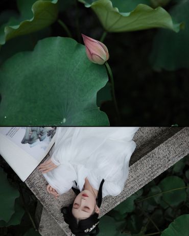 采莲南塘秋