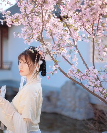 携君问花神，槐夏知不知？