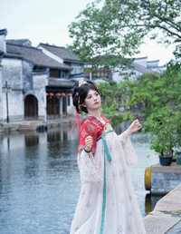 古镇小唐风 小蔷薇