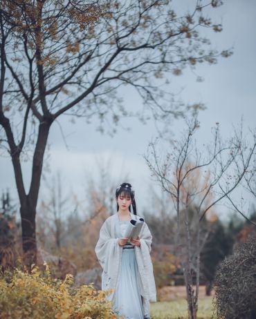黛玉葬花 天尽头，何处有香丘