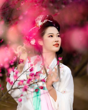 梅花起舞