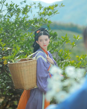 摘桔子