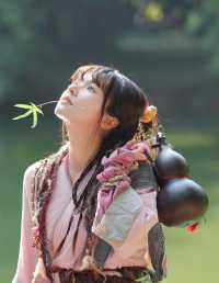 甜菜小芊