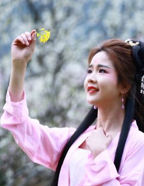 桃花舞剑