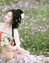 格桑花海 橘皮一号