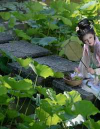 荷风送香 ooOkeah