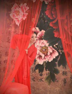 国风 红尘.梦 壹