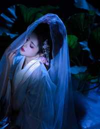 荷塘月色 星之卡桃