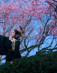 玄樱赋_暗黑女帝 小洪