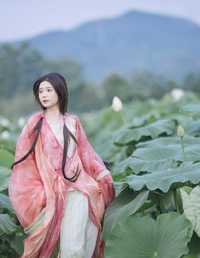 晚风吹倒荷花叶 褚鸢鸢