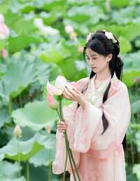 接天莲叶无穷碧 spring