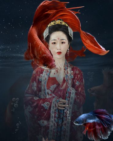 人鱼之恋