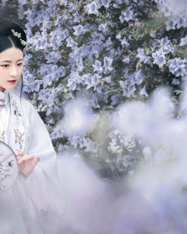 问杜鹃