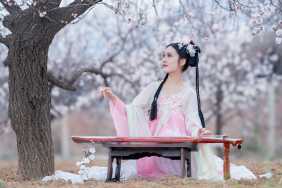 杏花·古装美女人像