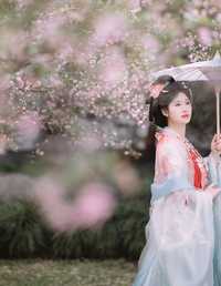 海棠春色 静若初夏