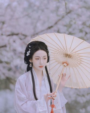 樱花落