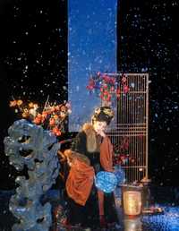 年年岁岁四时景-冬日大雪