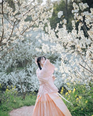 风起花吹雪