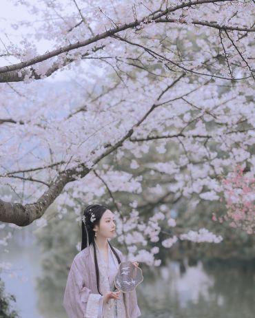 十日樱花作意开，绕花岂惜日千回