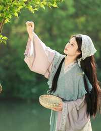 采青梅去了 西瓜