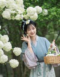 中华木绣球 小欧O