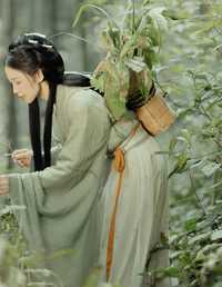 采药 折子语-阿语