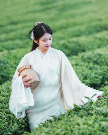 阿侬生小住田家，不惯采花惯采茶