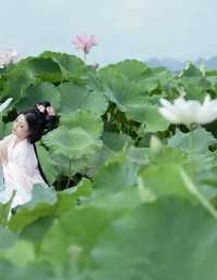 别有娉婷 谨陬捌