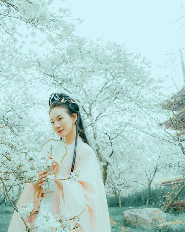 赏花
