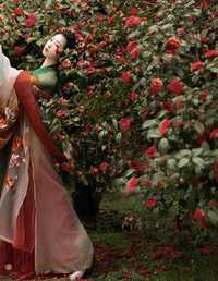 落红满地 三条海里