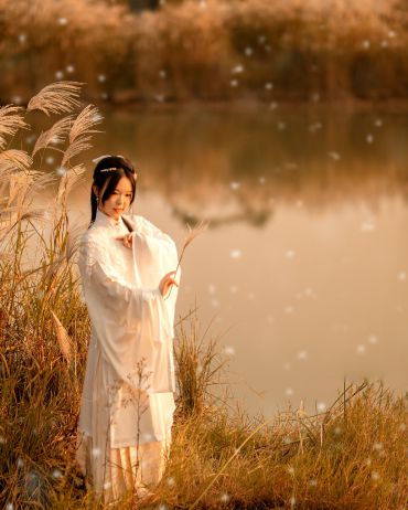 芦花恋
