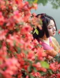 锦瑟 零基础的米团