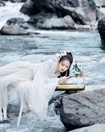 疏影横流水清浅，暗香浮动月黄昏