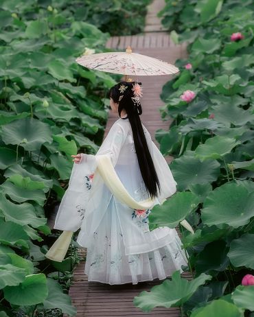 夏.荷