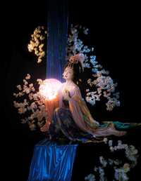 花月夜 蔸小黄鸡