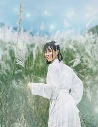 芦风起 李太白