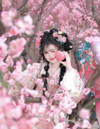 樱花树下，少女与花共舞，唯美如画。