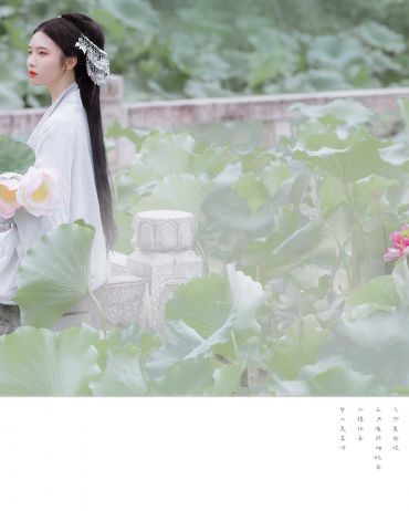 梦入芙蓉浦