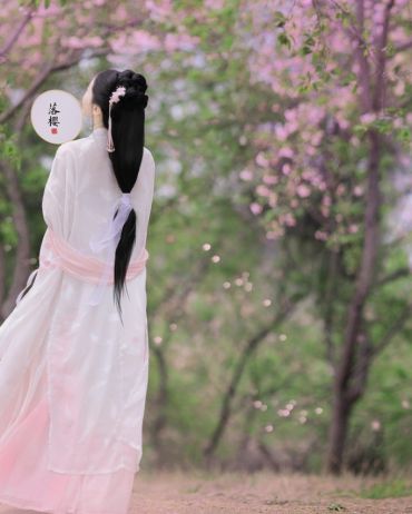 樱花下的少女