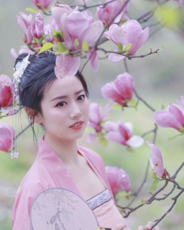 人面桃花相映红