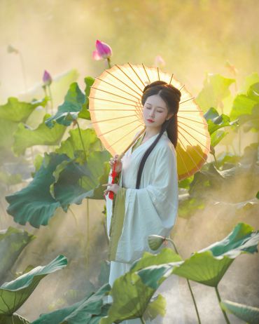芙蕖