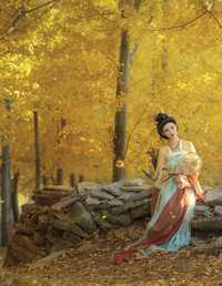 一叶知秋诗意浓 冰皮月亮蛋