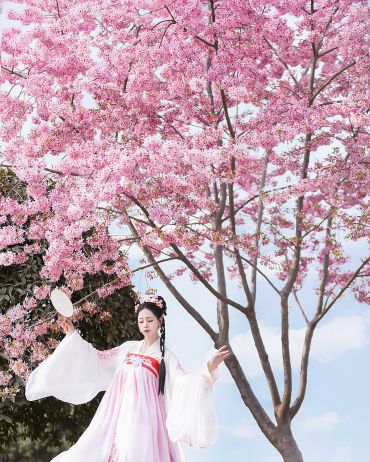 桃花依旧笑春风