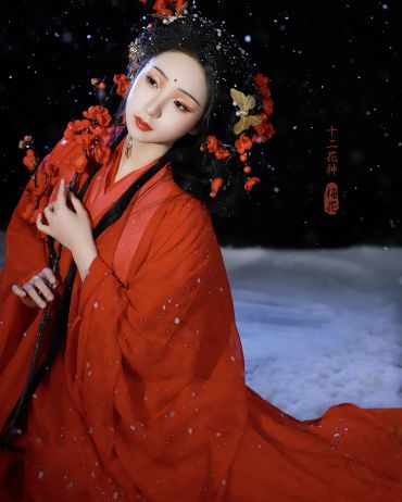 十二花神系列-梅花